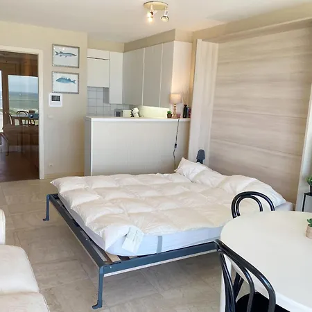 Apartment In With The Beach, Cleaning Included Nieuwpoort