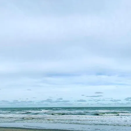 In With The Beach, Cleaning Included